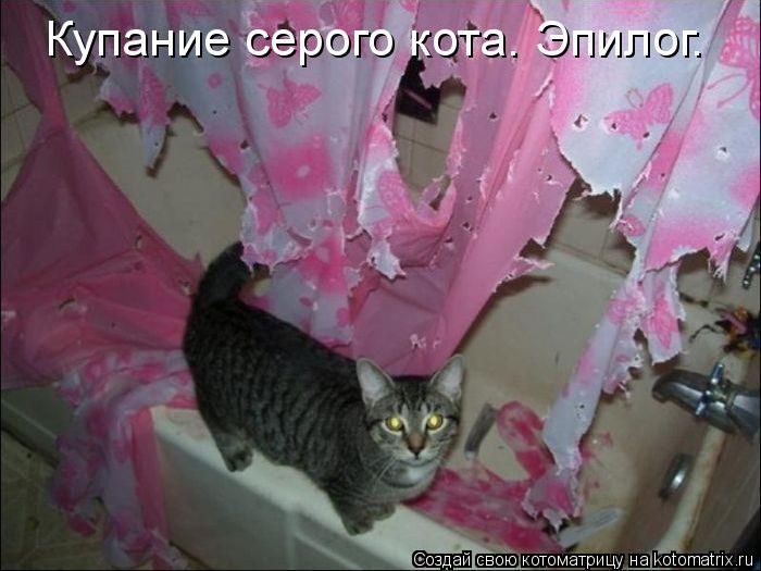 VFL.RU -  