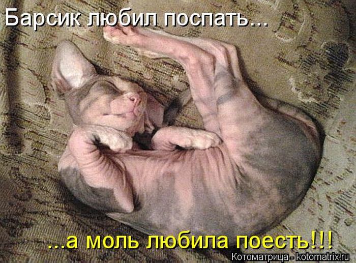 VFL.RU -  