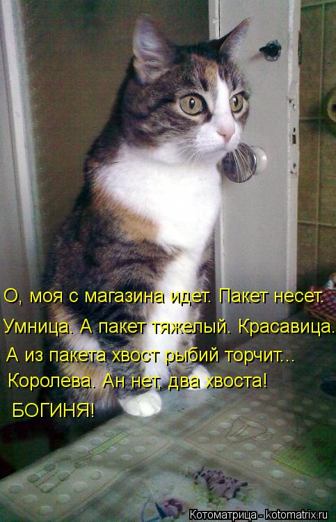 VFL.RU -  