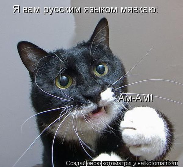 VFL.RU -  