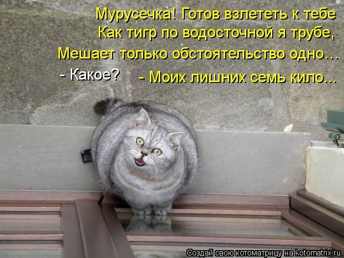 VFL.RU -  
