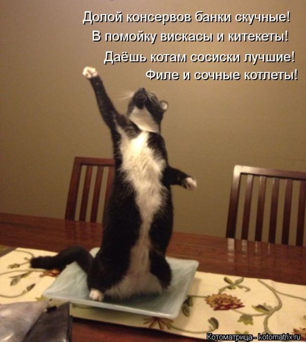 VFL.RU -  