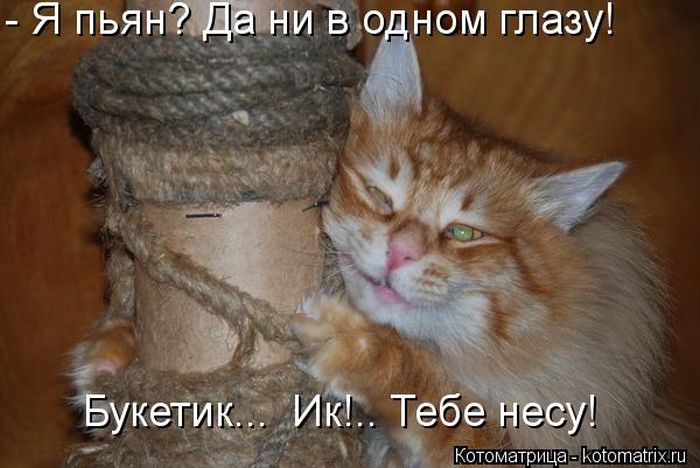 VFL.RU -  