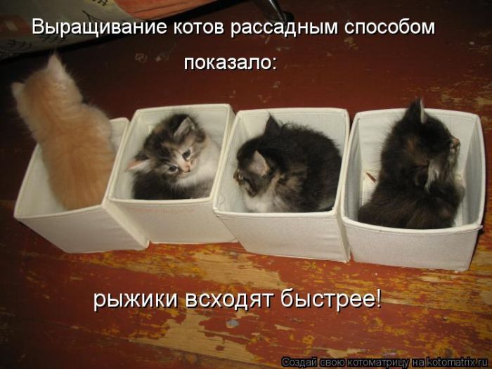 VFL.RU -  