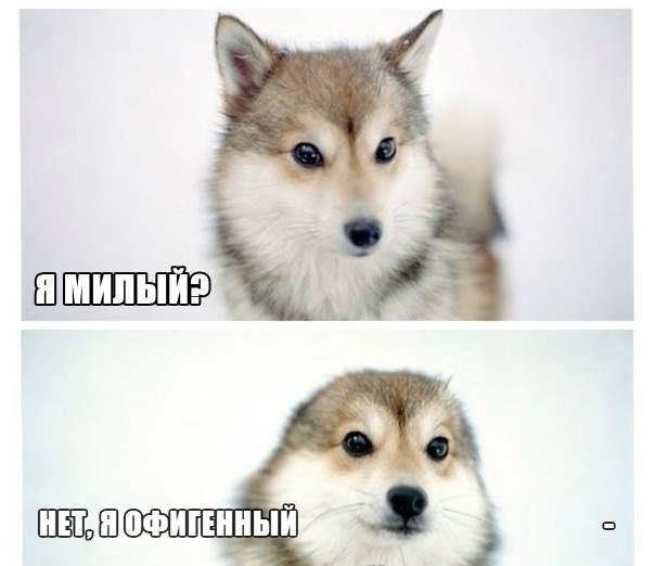 VFL.RU -  