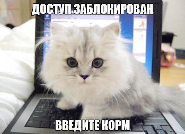 VFL.RU -  