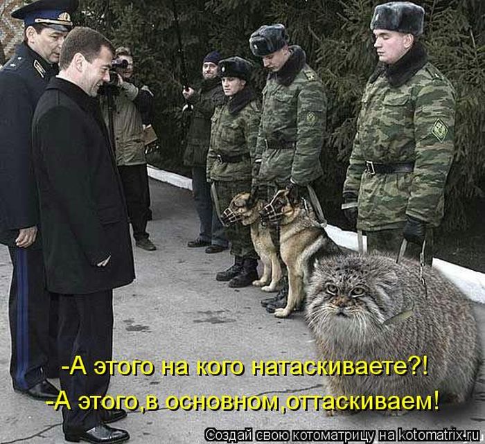 VFL.RU -  