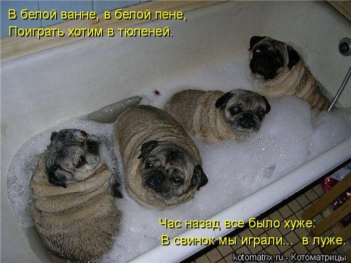 VFL.RU -  
