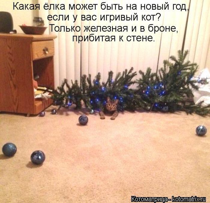 VFL.RU -  
