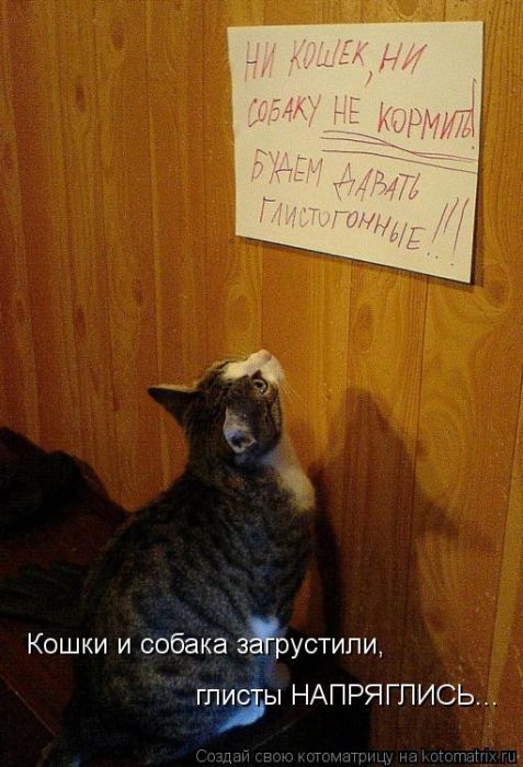 VFL.RU -  