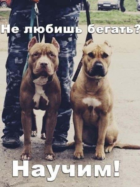 VFL.RU -  