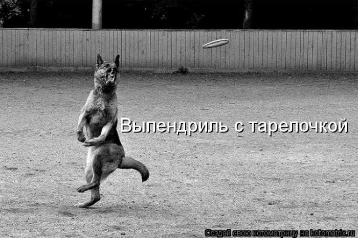 VFL.RU -  
