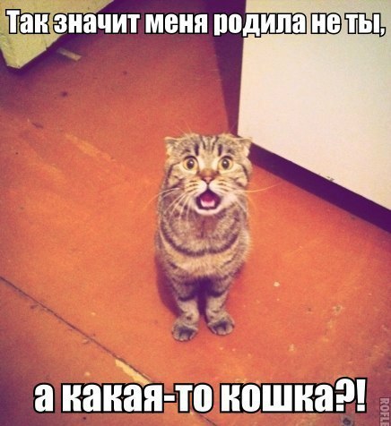 VFL.RU -  