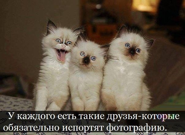 VFL.RU -  