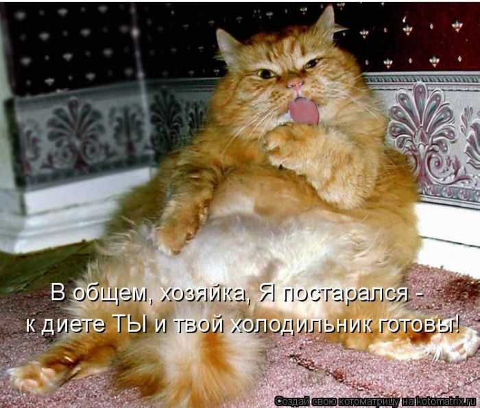 VFL.RU -  
