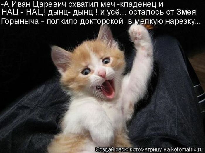 VFL.RU -  