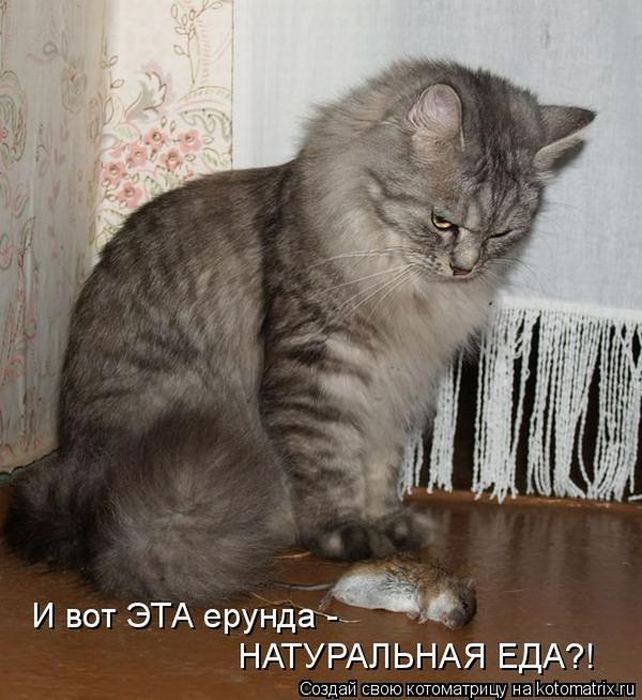 VFL.RU -  