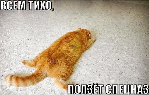 VFL.RU -  