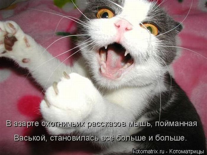 VFL.RU -  