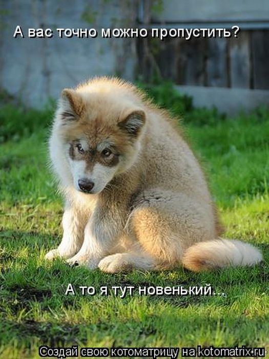 VFL.RU -  
