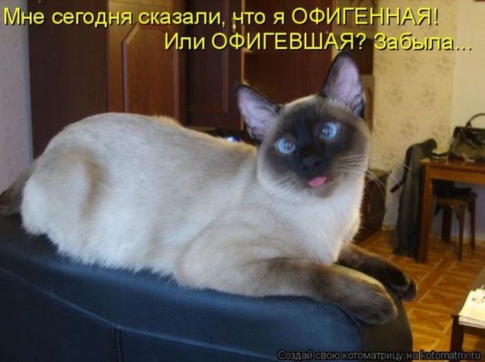VFL.RU -  
