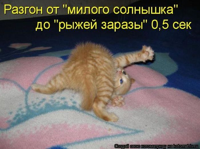 VFL.RU -  