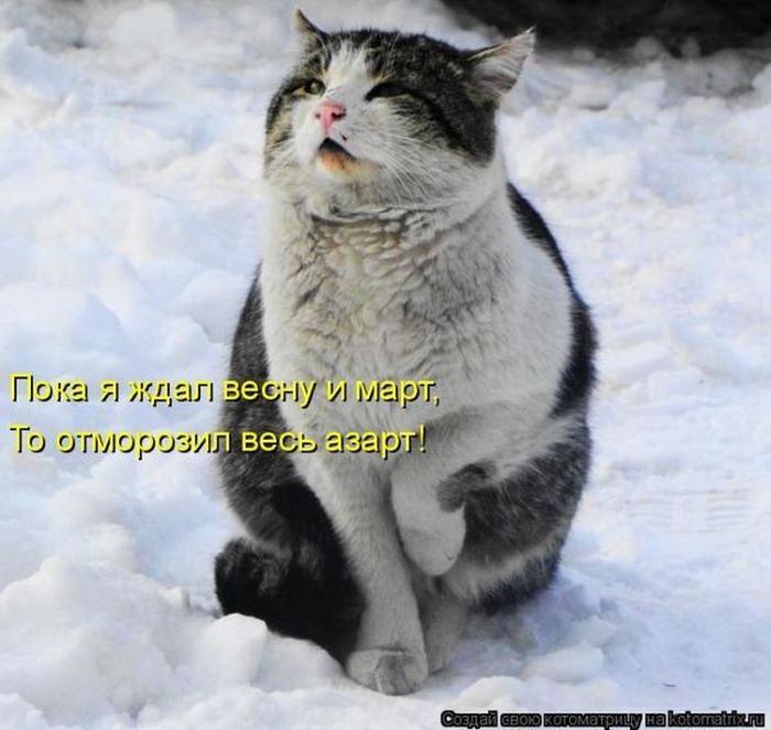 VFL.RU -  