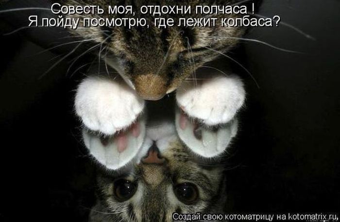VFL.RU -  