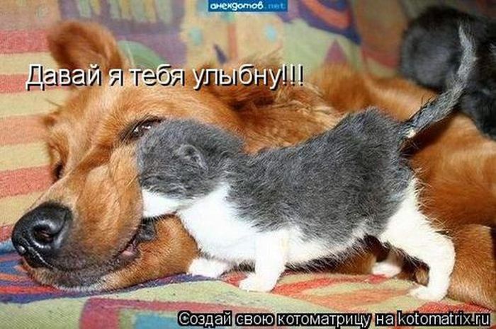 VFL.RU -  