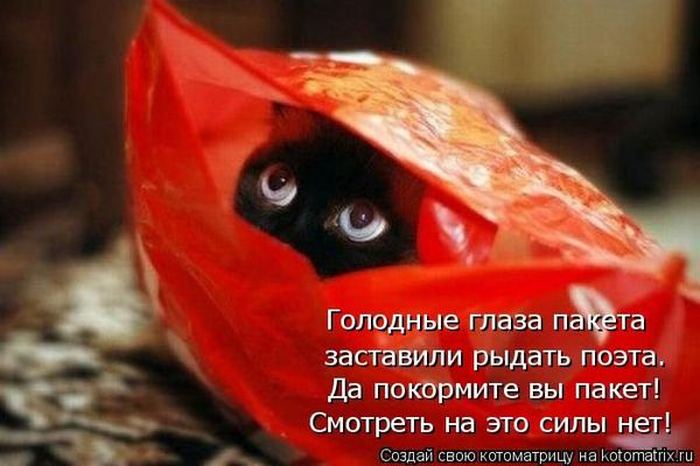 VFL.RU -  