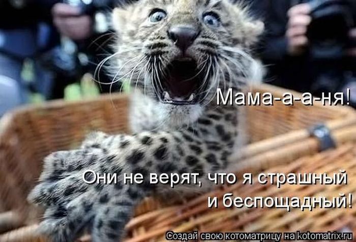 VFL.RU -  