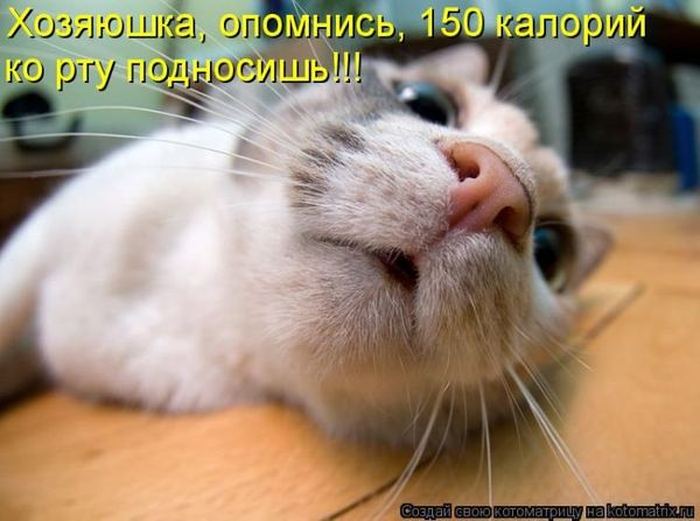 VFL.RU -  