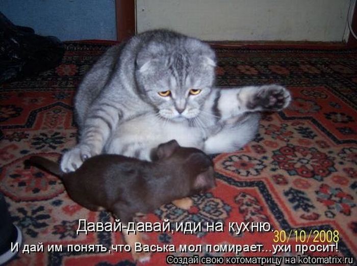 VFL.RU -  