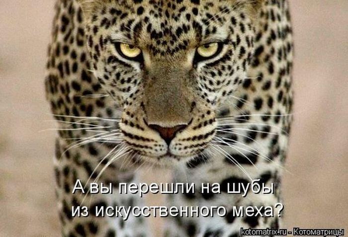 VFL.RU -  