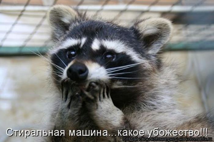 VFL.RU -  