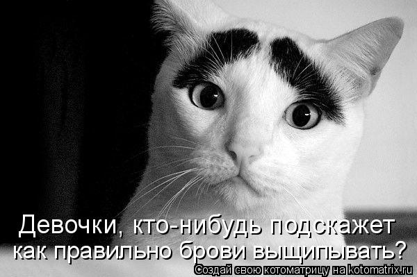https://images.vfl.ru/ii/1739957178/e92f1069/39715848.jpg