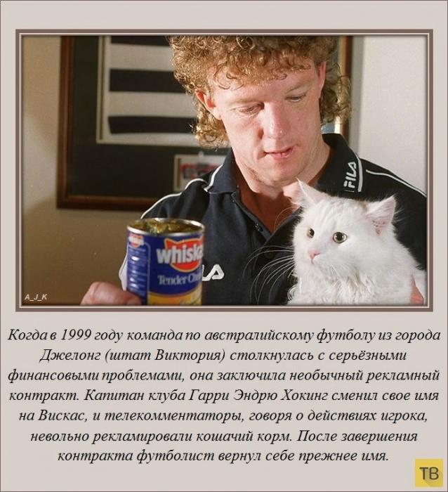 VFL.RU -  