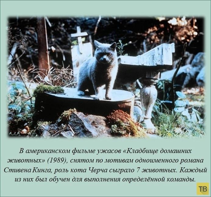 VFL.RU -  