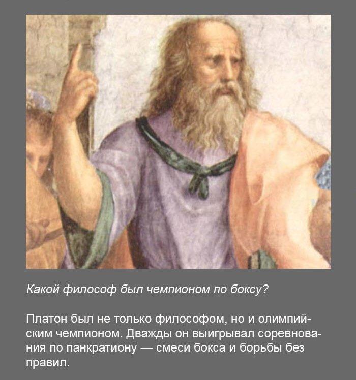 fakt7