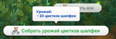 39730079.png