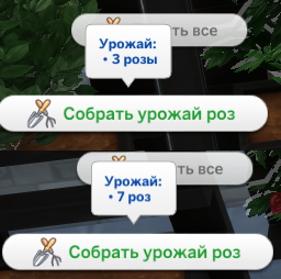 39730080.png