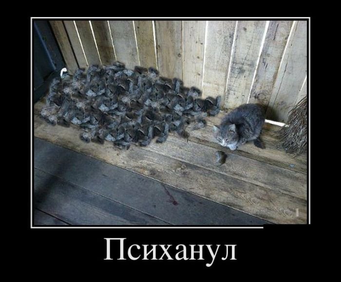 VFL.RU -  