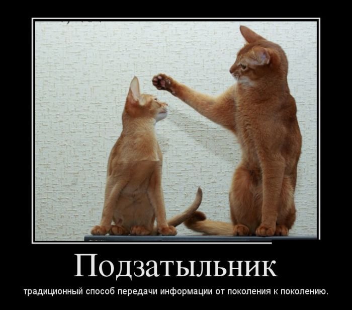 VFL.RU -  