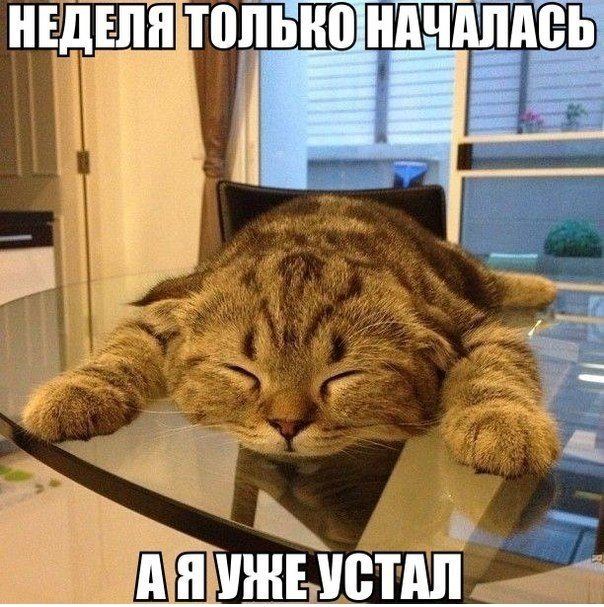 VFL.RU -  