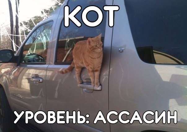VFL.RU -  
