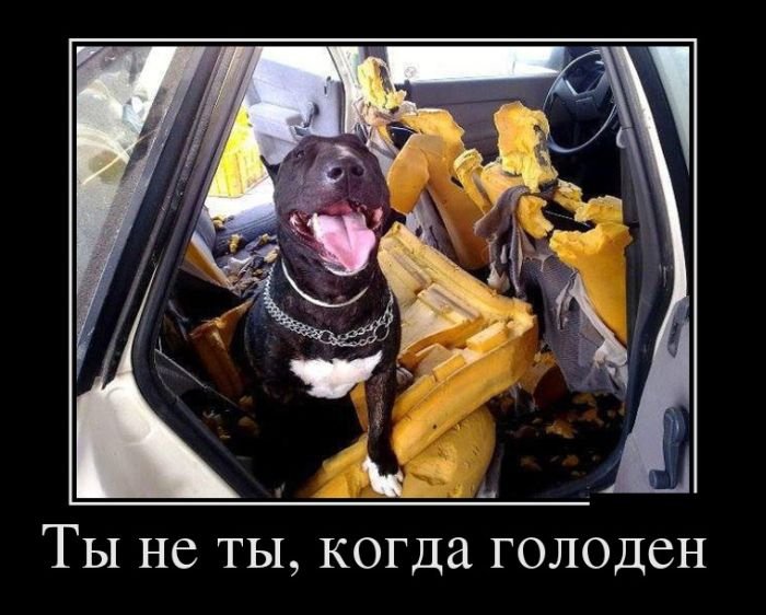 VFL.RU -  