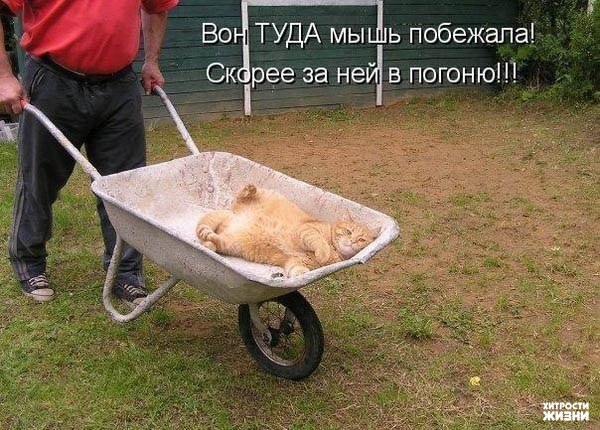 VFL.RU -  