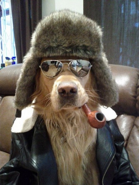 VFL.RU -  