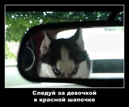 VFL.RU -  