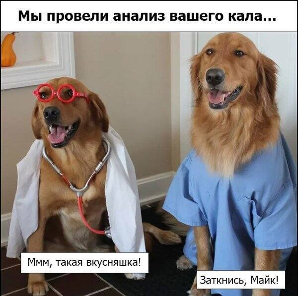 VFL.RU -  